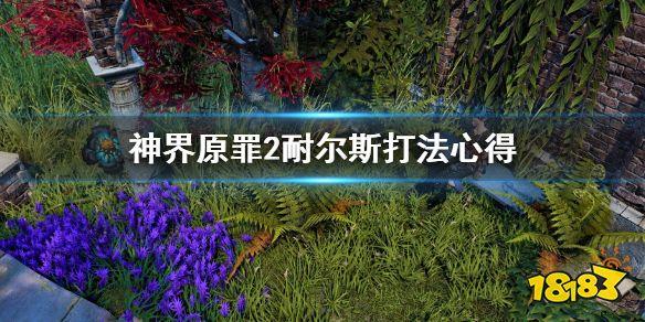 神罪2原罪图文攻略(神界2游戏玩法评测)