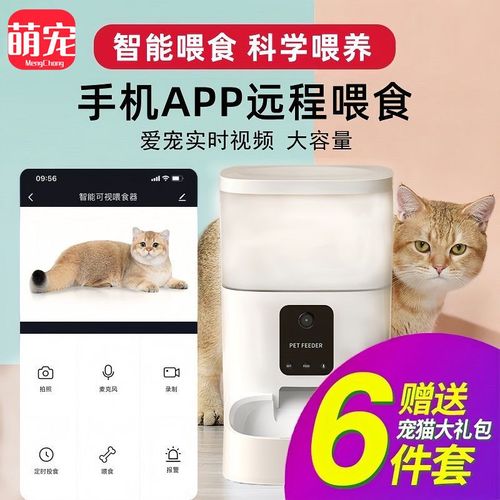 洛克王国魔尾战猫和上古战龙哪个厉害?