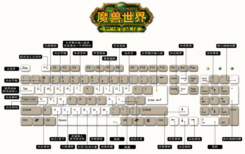 魔兽争霸3冰封王座秘籍怎么用以及通用指令大全