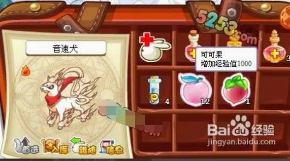 洛克王国意志紫灵练级路线