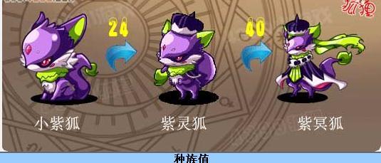 洛克王国中紫冥狐有超进化吗,洛克王国紫冥龙厉害吗?