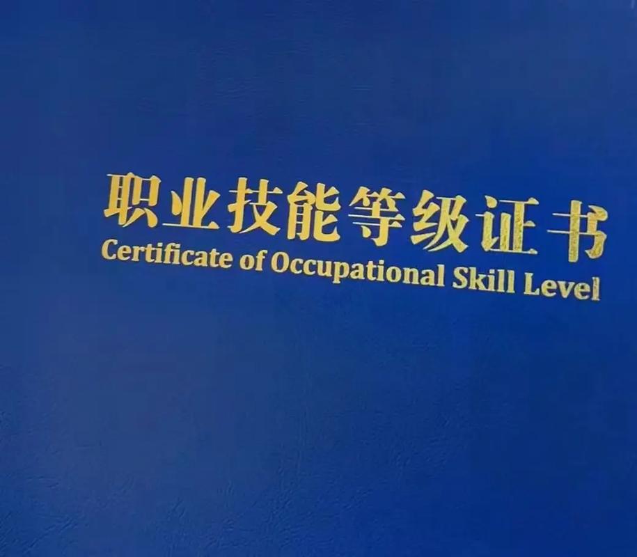 技能有哪些分类,技能分为几个类型?