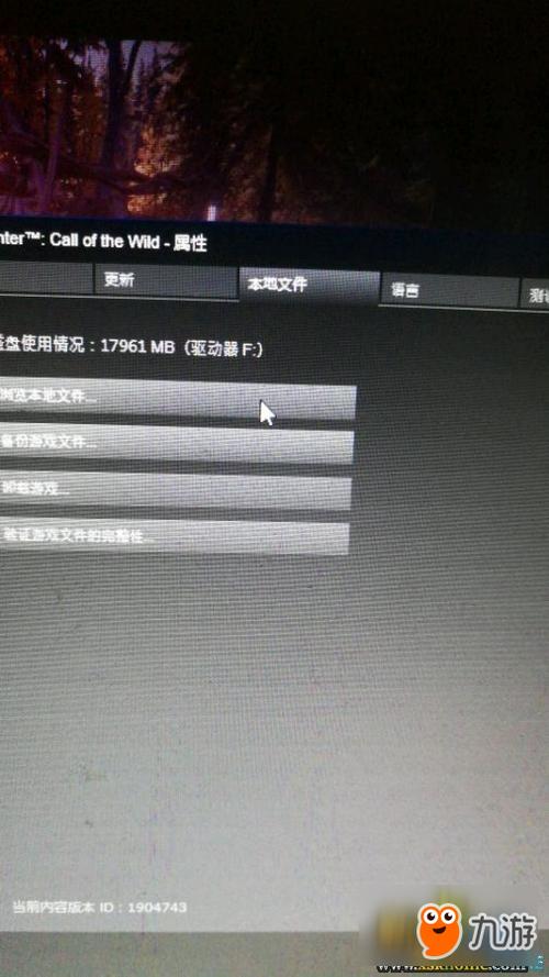 猎人荒野的呼唤游戏无法进入解决方法