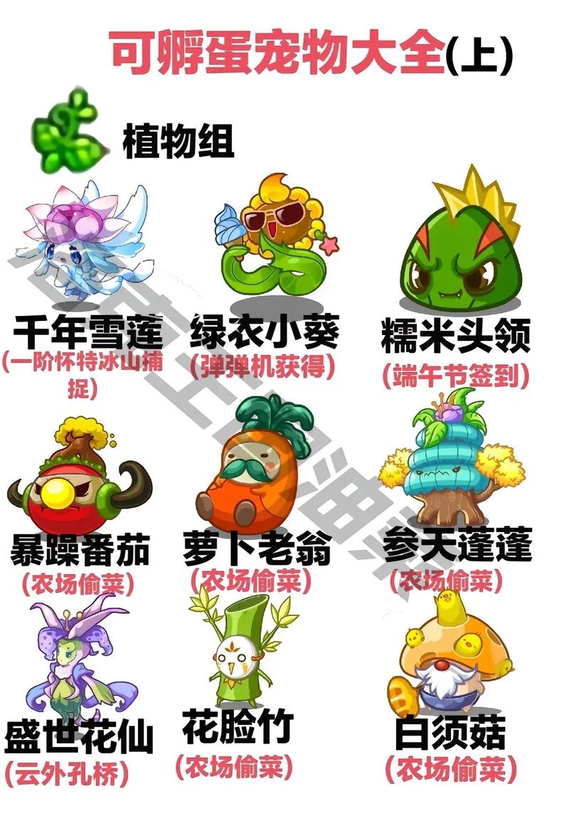 洛克王国培育宠物蛋,什么叫同一个组别