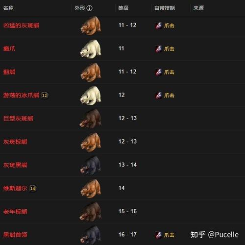 魔兽世界猎人20级应该带什么宠物?