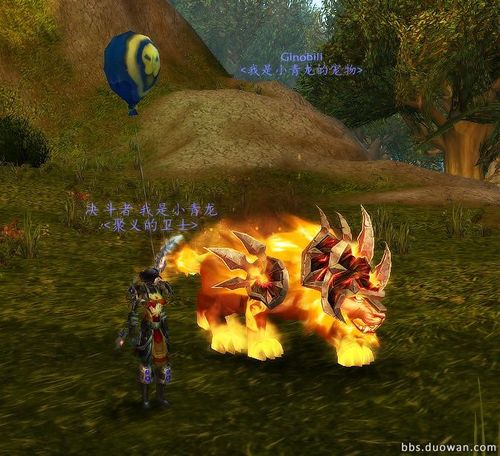 魔兽世界猎人20级到哪抓BB?什么BB好?我是暗夜精灵!求高手指点