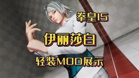 拳皇15mod怎么安装?拳皇15mod安装后打不开?