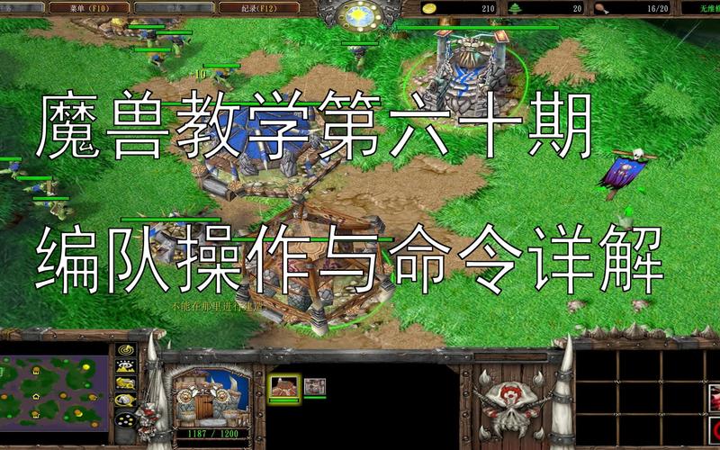 魔兽争霸3怎么编队,解除编队