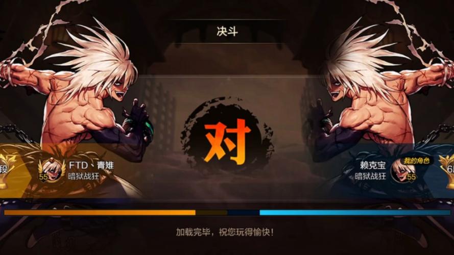 DNF能在决斗场PK的辅助叫什么