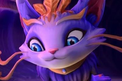 魔法猫咪多少钱,魔法猫咪多少钱一只