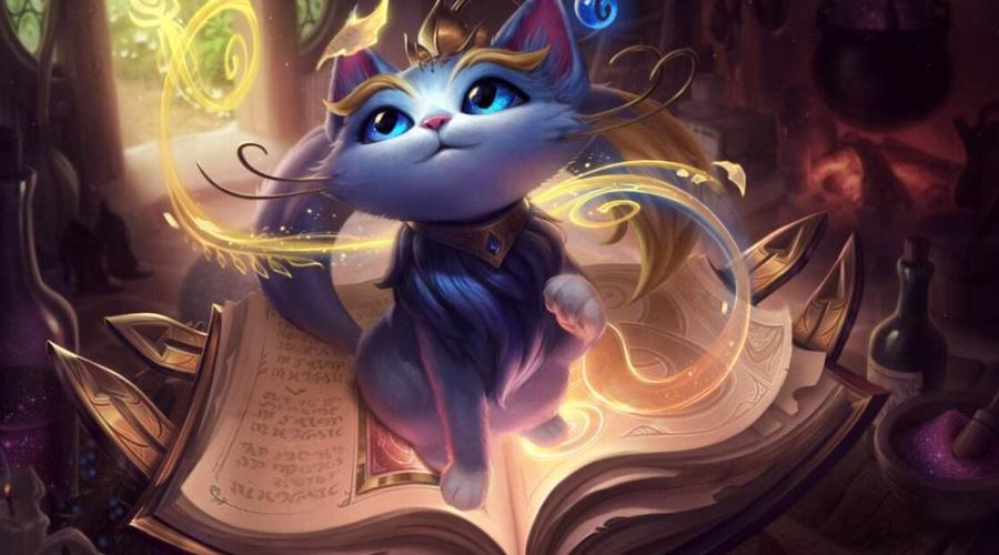 魔法猫咪什么时候出的