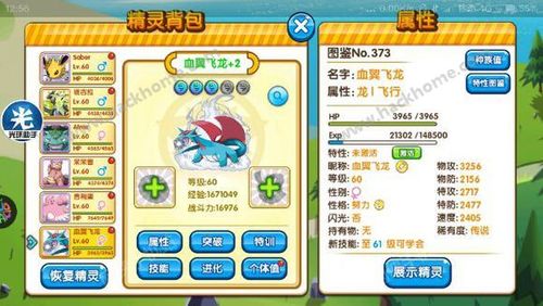口袋妖怪复刻血翼飞龙强化核心技能推荐