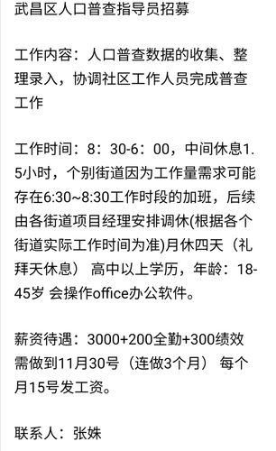 荒野的召唤人口普查插件在哪下载