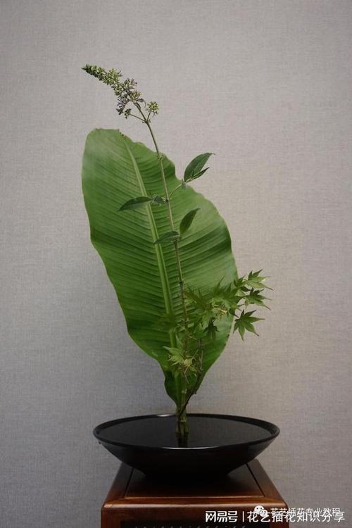 阴阳师简介