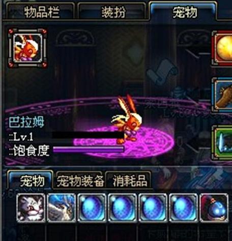 DNF手游宠物巴拉姆怎么样介绍_DNF手游宠物巴拉姆怎么样是什么