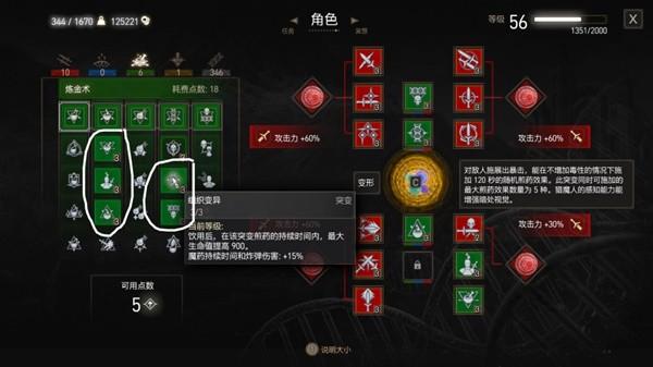 巫师3血与酒飞狮套技能搭配详解介绍_巫师3血与酒飞狮套技能搭配详解是什...