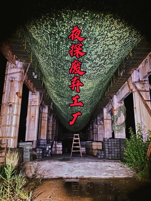 《杀戮空间2》里什么职业好?理由是?