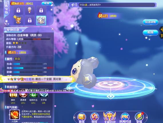 qq飞车什么宠物好!