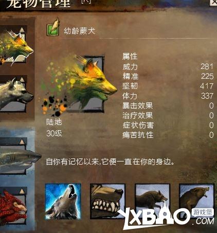 激战2德鲁伊是什么职业’